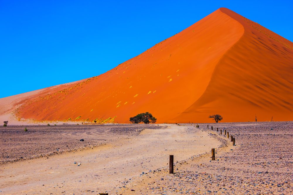 Namib Naukluft National Park Official GANP Park Page   Namib Naukluft National Park Largest Sand Dune 